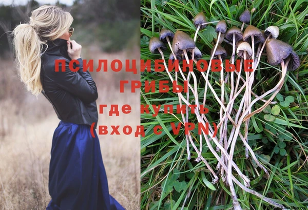 синтетический гашиш Балахна