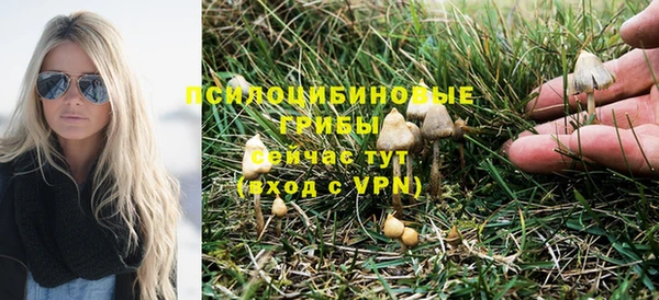 дурь Пролетарск
